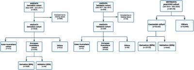 A Multi-Step Precision Pathway for Predicting Allograft Survival in Heterogeneous Cohorts of Kidney Transplant Recipients